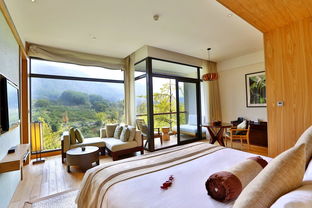 千岛湖洲际度假酒店 住宿特惠、实景相片与真实住客点评全解析